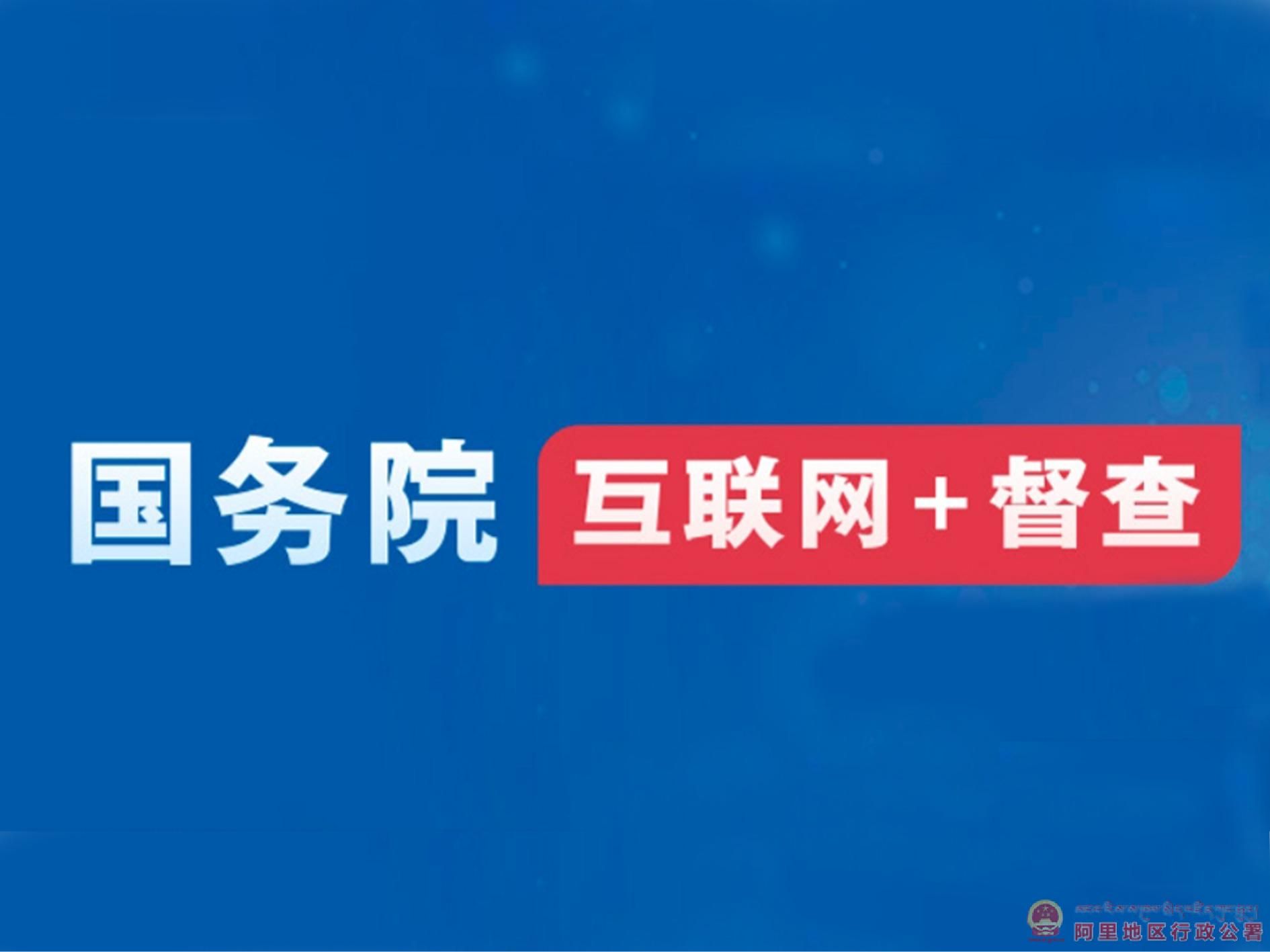 联合韦德真人国际