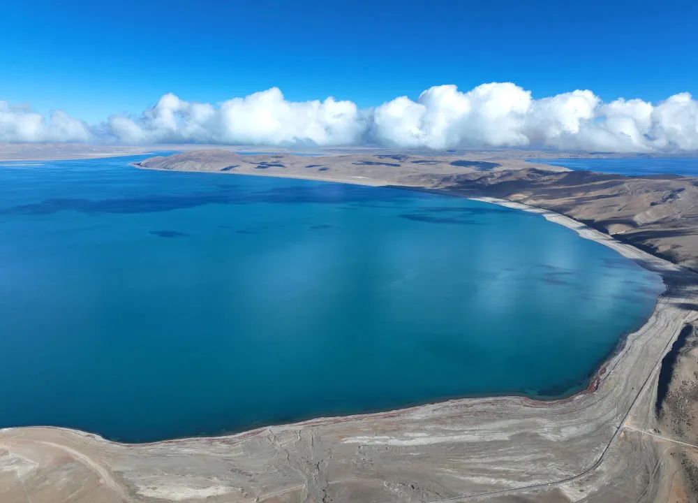 阿里地区生态持续向好 野生动物频繁“