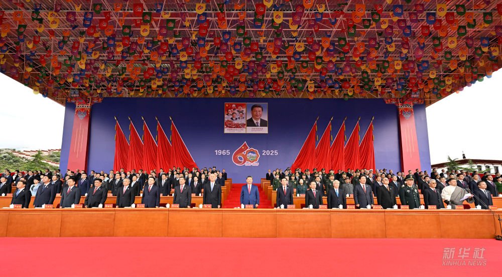 政策和改革方案