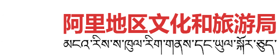 5425000011