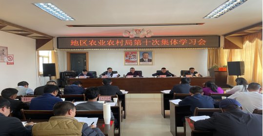 韦德真人国际活动入口