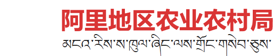 藏ICP备2023000077号-7