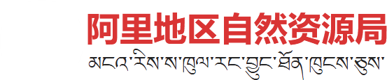 韦德真人国际