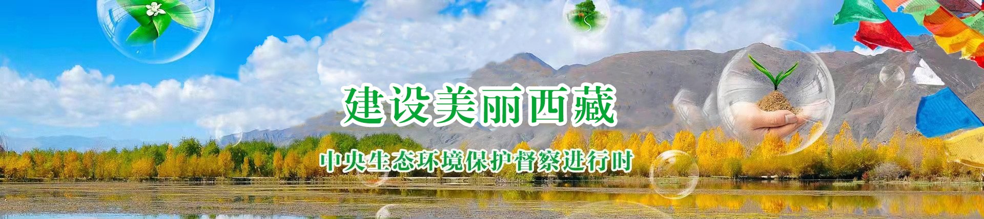 经党中央